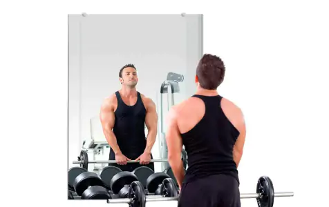 Activity Gym Mirrors