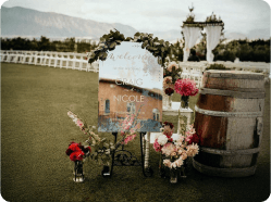 Event & Wedding Décor